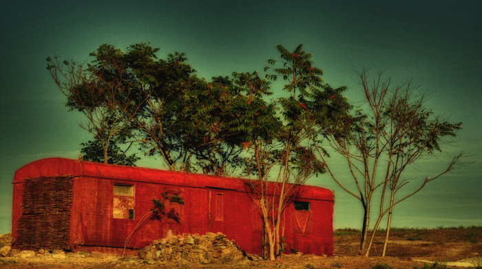 nature, desert, trees