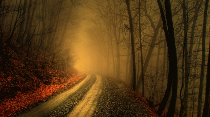 road, autumn