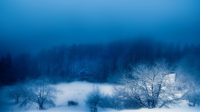evening, winter, nature, snow, mist