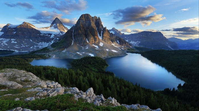 mountain, landscape, forest, nature