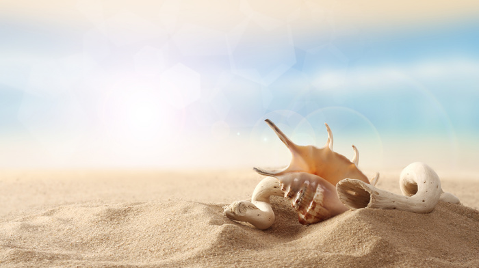 sand, sky, macro, beach