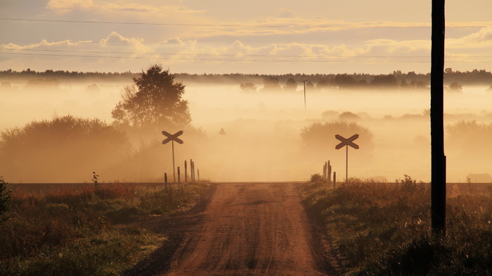 road, mist, field, nature