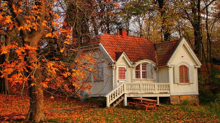 house, leaves, autumn, nature, tree, trees, landscape