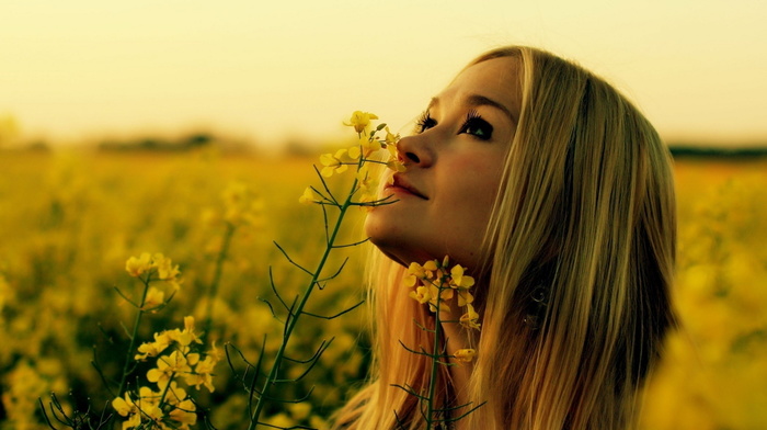 field, Sun, flowers, girl, girls