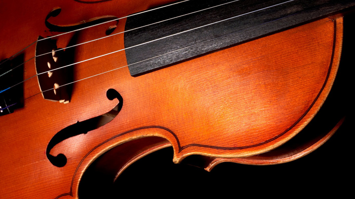 black, violin, music, background, macro