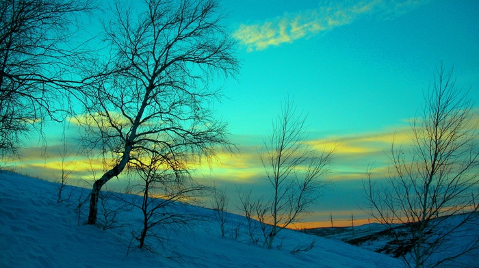 landscape, azure, sky, snow, winter, evening, blue, tree, frost, nature, cold