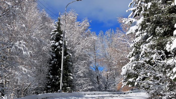 landscape, road, winter, snow