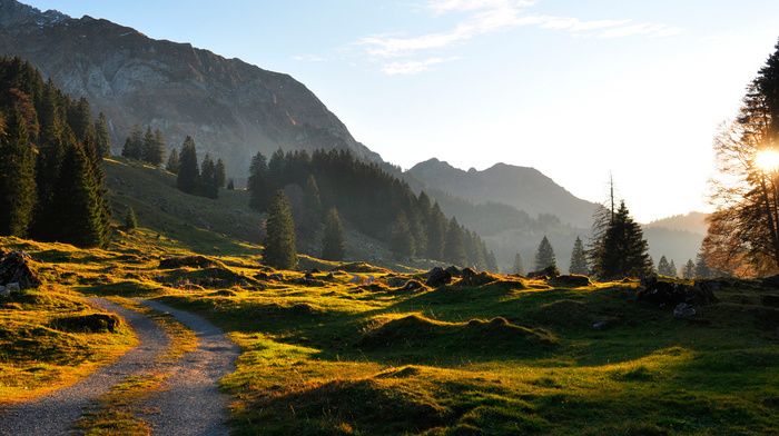 nature, Sun, evening, mountain