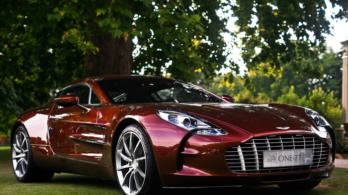 tree, cars, Aston Martin, England