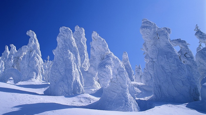 winter