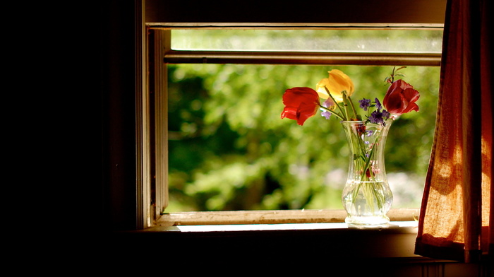 flowers, summer, window, stunner