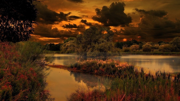 lake, forest, nature