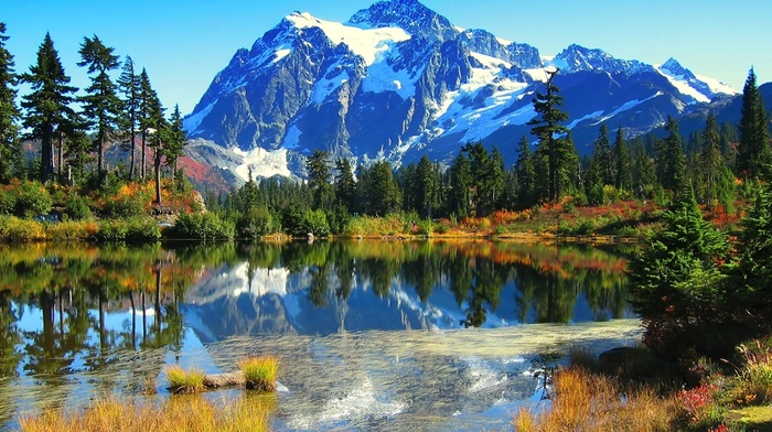 nature, trees, lake, mountain