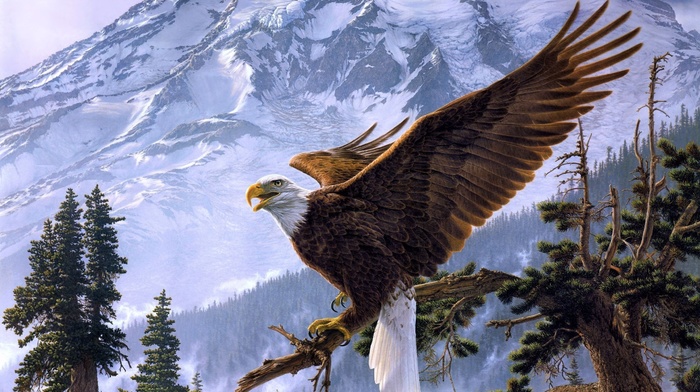 eagle, mountain, art, animals, tree