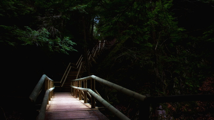 park, nature, bridge