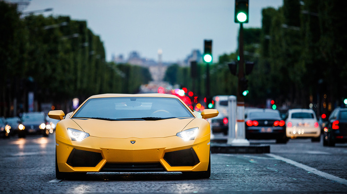 cars, aventador, lamborghini