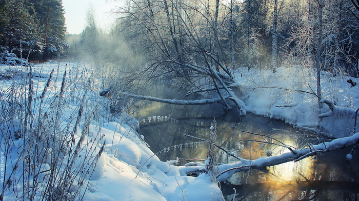 nature, winter, river, landscape