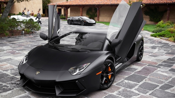 lamborghini, cars