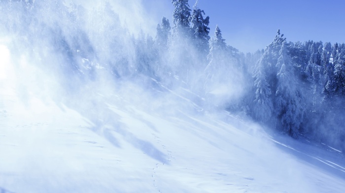 winter, trees, mountain