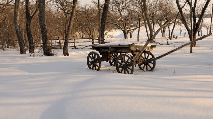 snow, winter
