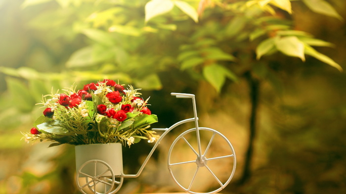 bicycle, background, flowers, roses