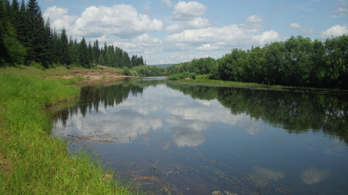 summer, river