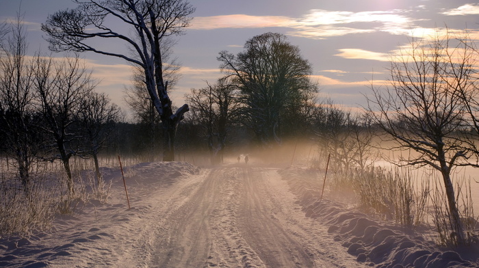 sunset, winter, road