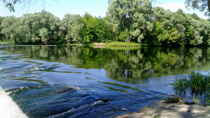 nature, trees, river, summer