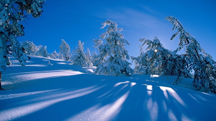 hill, snow, winter, forest