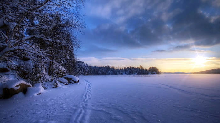 winter, snow, field, landscape