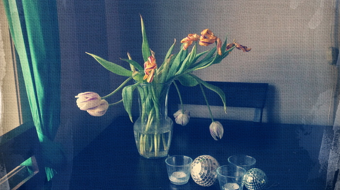 style, still life, flowers