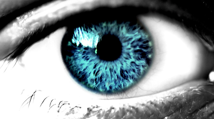 macro