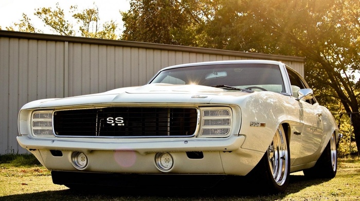 cars
