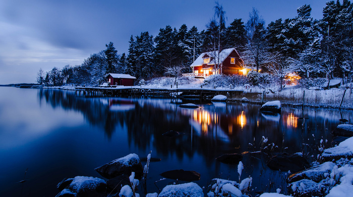 house, water, winter, forest, trees