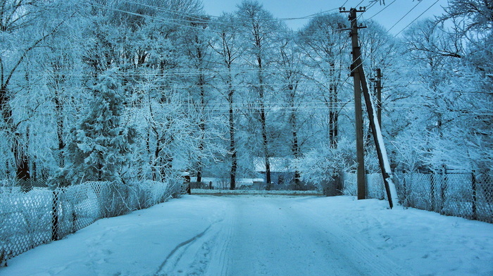 road, trees, snow, winter
