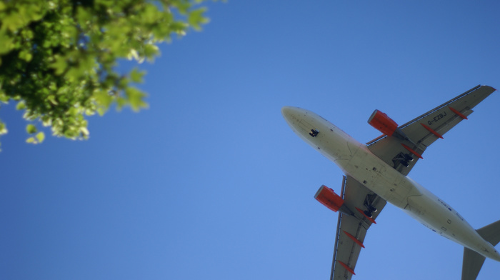 sky, airplane, aircraft, tree