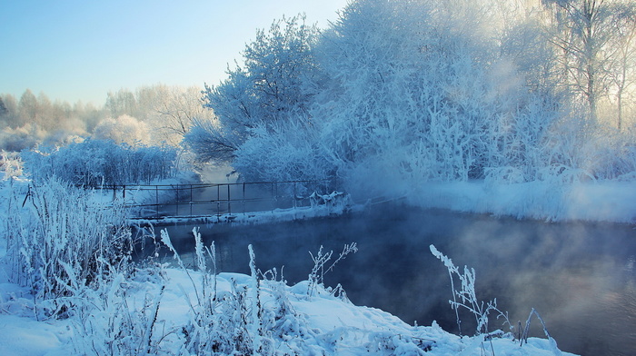 river, winter, trees, snow, bridge