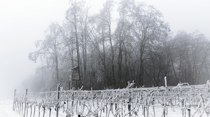 winter