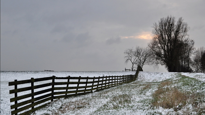 winter, sky, field, trees, fence