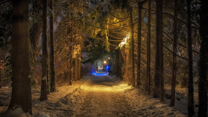 winter, road, nature