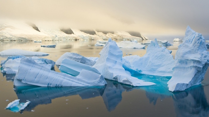 landscape, nature, sea, winter
