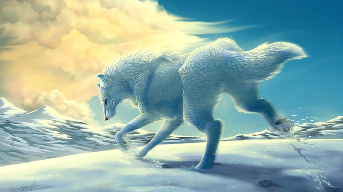animals, snow, wolf, clouds, mountain, white, winter, art