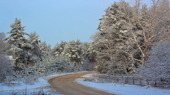 road, nature, landscape, winter