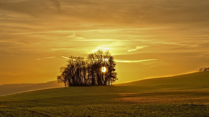nature, sunset, landscape, field