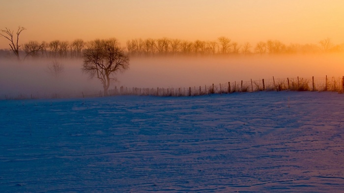 winter, mist, landscape, nature