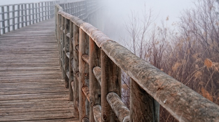 mist, nature, bridge, cloudy