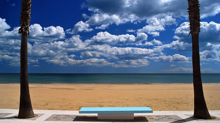 sea, sand, palm trees, nature, bench