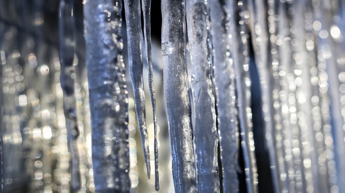 macro, ice, winter