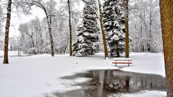 landscape, park, winter