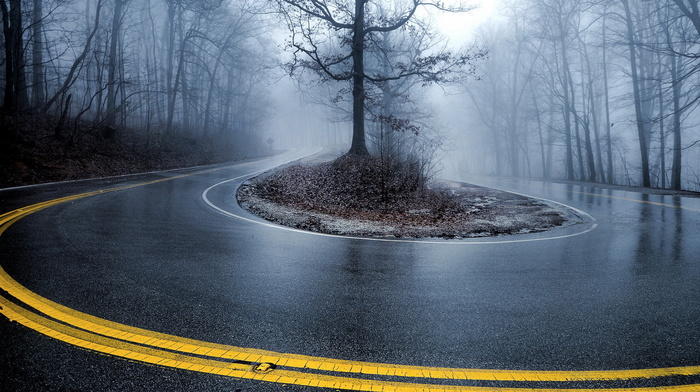 mist, road, landscape, nature